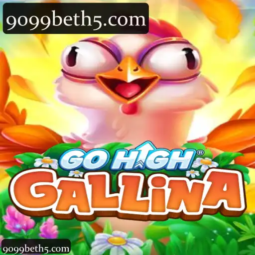 GoHighGallina